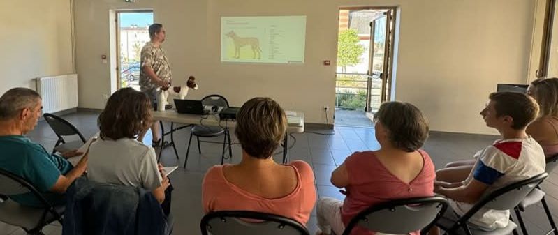 Secours canin : Une séance de formation